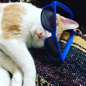 Meet your Posher, Anya